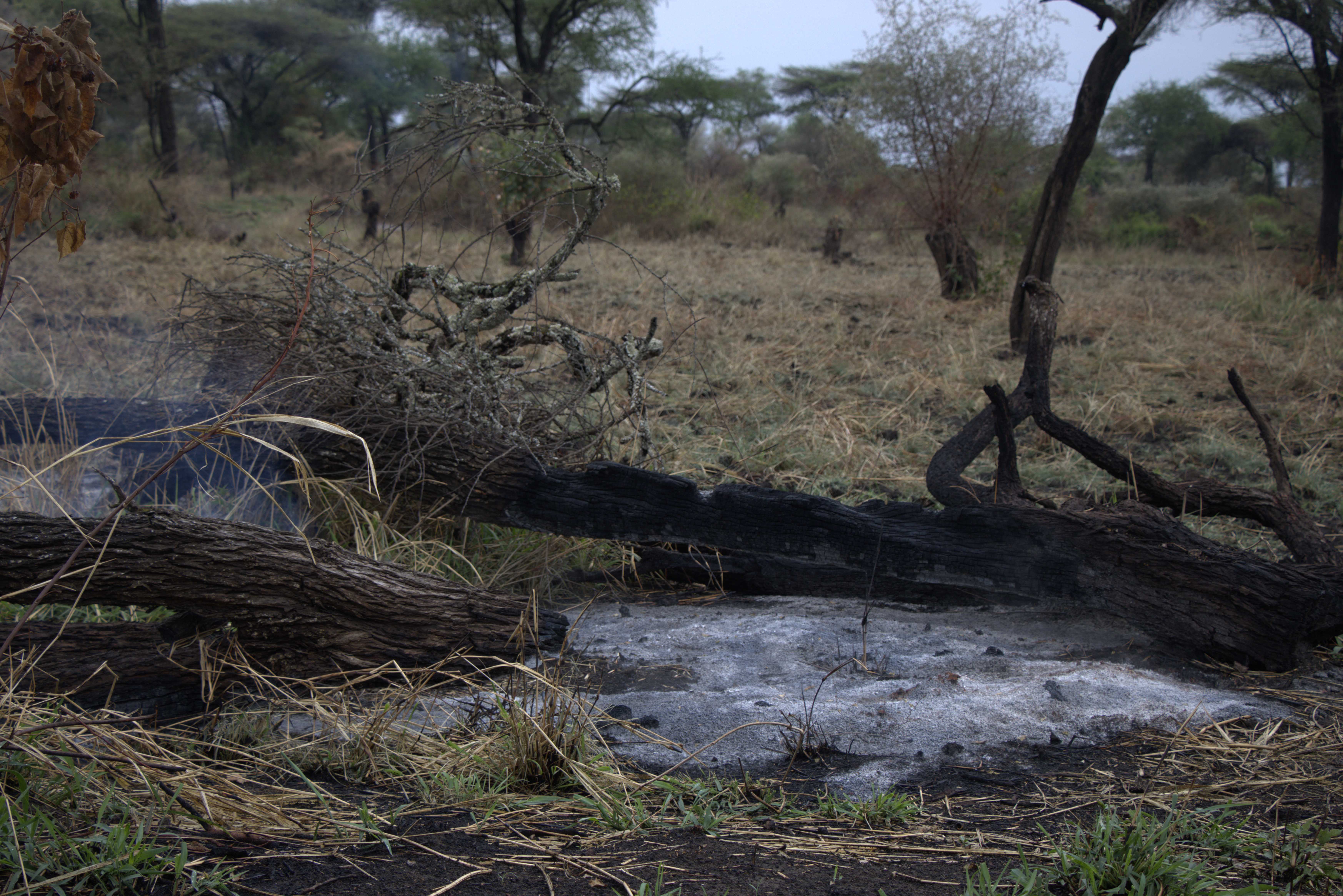 Karamoja region 