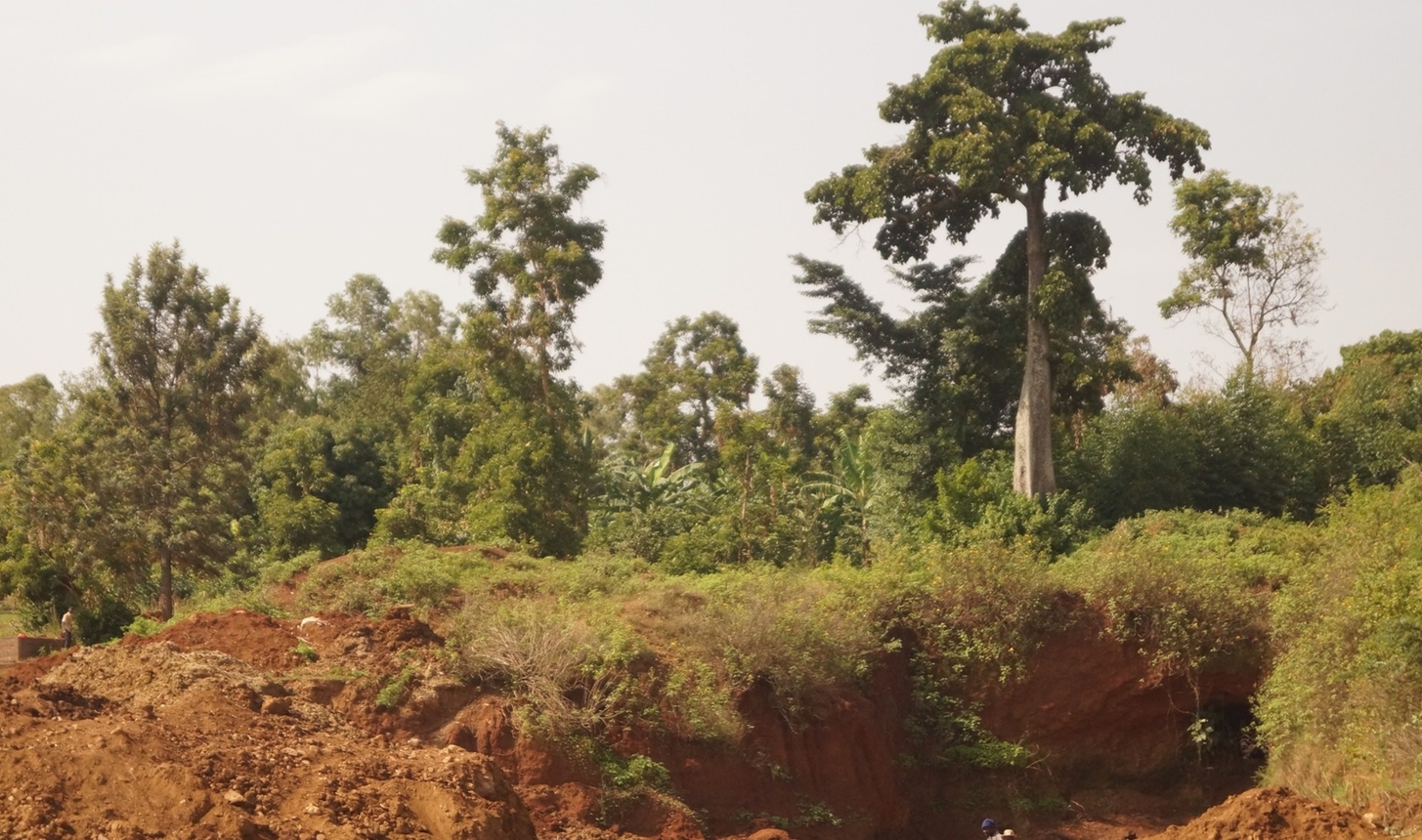 Busia land