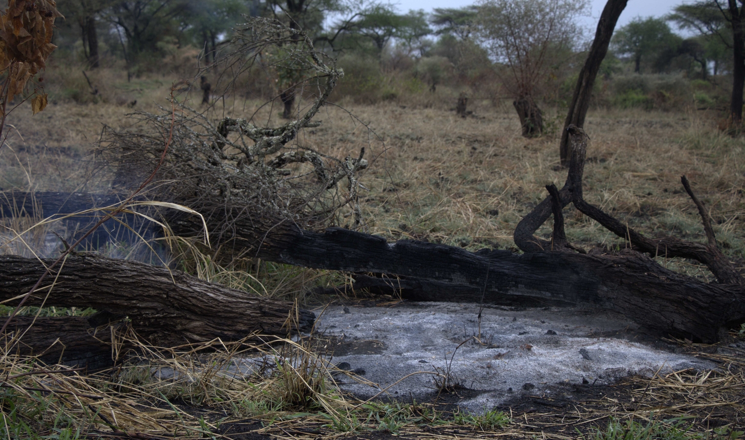 Karamoja region