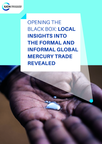 cover page for blackbox report