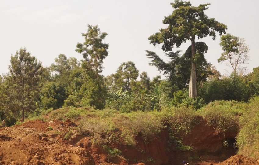 Busia land 