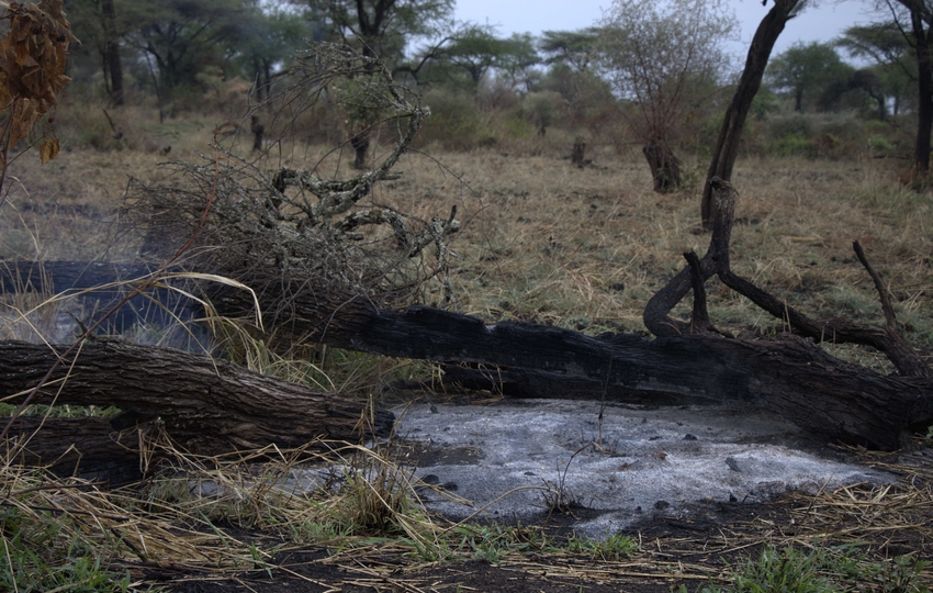 Karamoja region 